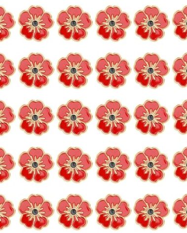 DTOFOOT 72Pcs Red Poppy Pins, Veterans Day Lapel Pins Remembrance Day Poppy Flower Brooch Pins Lest We Forget Enamel Pins Memorial Day Badge Poppy Pin for Clothes Hat Bag Backpack Decoration