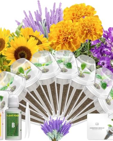 LYKOCLEAN Flower Seed Pod Compatible with AeroGarden Hydroponics Growing System, 8 Pods Indoor Garden Starter Kit with Lavender, Sunflower, Petunia and Marigold