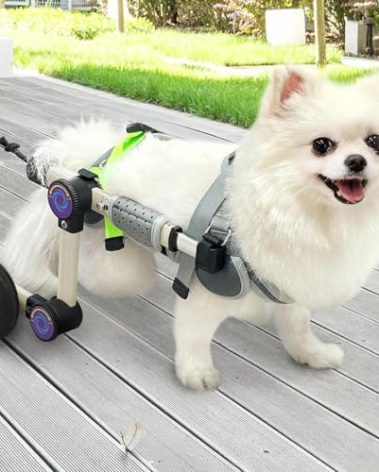 LetPetRun Adjustable Dog Wheelchair for Back Legs Mobility Support Lightweight Pet Wheelchair for Disabled Hind Legs Walking Stable Dog Cart for Pets, XX-Small White