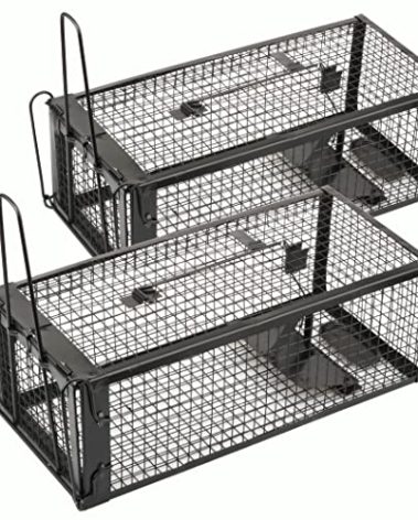 Anyhall 2-Pack Rat Traps Humane Live Mouse Vole Chipmunk Trap Cage for Indoors and Outdoors (Black)
