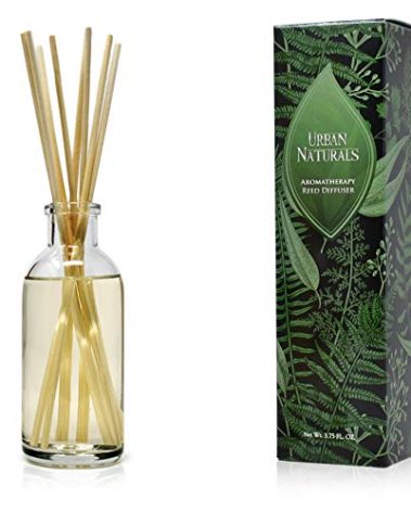 Urban Naturals Coconut Breeze Reed Diffuser Oil Set with Reed Sticks – Warm Coconut, Pineapple and Tahitian Vanilla - Made in The USA