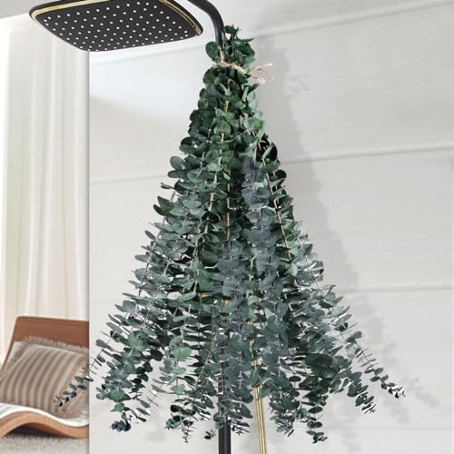 51A3b1ip4jL._SL500_.jpg 51A3b1ip4jL._SL500_.jpg