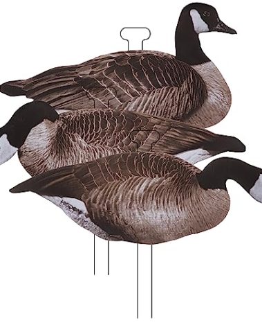Higdon Outdoors Flats | Canada Goose Standard Silhouette Decoys for Waterfowl Hunting | Realistic Lightweight Water Resistant Goose Decoys with Easy Carry Stakes | Non-Flocked 12 Pack