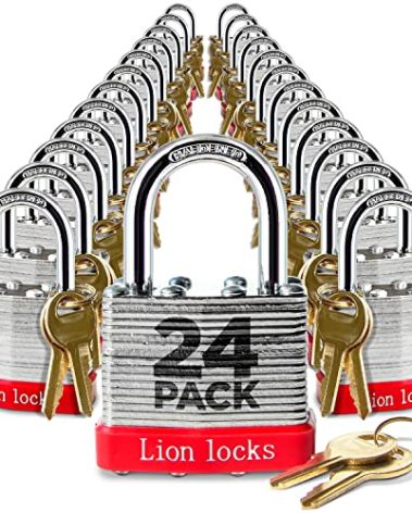 Lion Locks 24 Keyed-Alike Padlocks w/ 1.25” Shackle, 48 Keys, Hardened Steel Case, Brass Cylinder (24-Pack) - for Hasp Latch, Sheds, Fences, Storage Locker, School, Gym