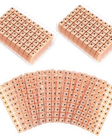 ROSENICE 600 Counts Acupuncture Vaccaria Ear Seeds Disposable Ear Press Seeds Multi-Condition Ear Seed Acupressure Kit (10 Sheets)