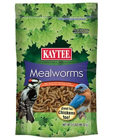 Kaytee Wild Bird Food Mealworms For Bluebirds, Wrens, Robins, Chickadees, Woodpeckers, Cardinals & Chickens, 3.5 Ounce