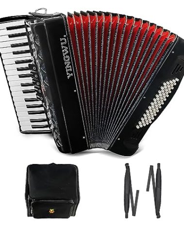 Accordion 34 keys 60 bass keys Lightweight instrument for beginners Adult with backpack Ergonomic strap Easy to play instrument (black)