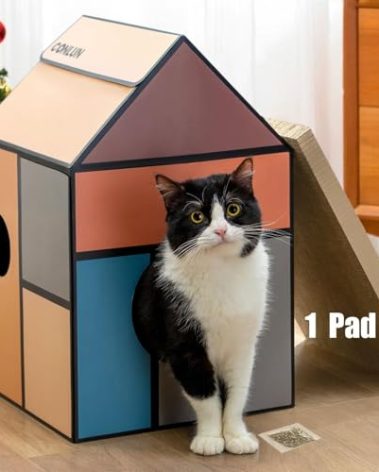 Conlun Cardboard Cat House with Scratch Pad & Catnip, Cat Play Scratching House for Indoor Hideaway Furniture, Heavy Duty Sturdy Cardboard Scratcher, Easy to Assemble Birthday Gift, Medium
