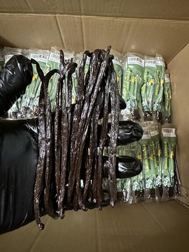 Version 1.0.0 Version 1.0.0