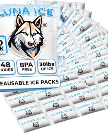 LUNA ICE Dry Ice Packs for Shipping - Long Lasting ice Packs - 24+ Hour Freeze Power - BPA Free - 120 Pack Bulk 30 lb – Hielo Seco - Reusable Gel Bricks for Food