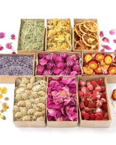 9 Bags Dried Flowers - Natural Dried Herbs Kit for Soap Making, DIY Candle, Resin Jewelry Making, Bath, Witch - Bulk Flowers Include Lavender, Lemon, Rosemary, Peony Petals, and More