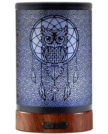 EQUSUPRO Essential Oil Diffuser 150ml Metal Aromatherapy Oil Diffuser Ultrasonic Cool Mist Diffuser with Auto Shut-Off Protection,7 Colors Changed LED for Home Office SPA Yoga (Owl)