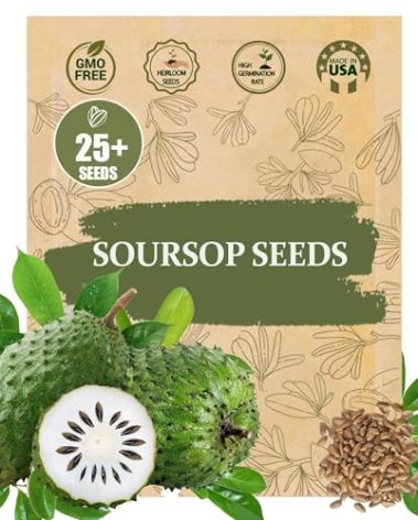 Premium Soursop (Graviola) Seeds – 25+ Non-GMO Heirloom - Fast-Growing, High-Yield Tropical Fruit Trees