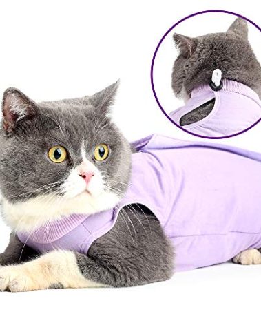 oUUoNNo Cat Wound Surgery Recovery Suit for Abdominal Wounds or Skin Diseases, After Surgery Wear, Pajama Suit, E-Collar Alternative for Cats (M, Purple)