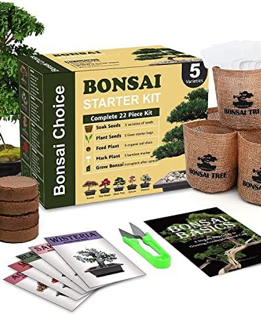 Meekear Indoor Starter Kit with Complete Planting Tools, Gardening DIY Gift for Plant Lovers