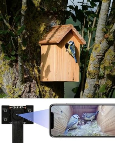 WIWACAM WiFi Bird Box Camera, 4K HD WLAN, Live Video to Phone, Easy Installation to Most of Bird Box Bird House Birdhouse Feeders Nesting, for Robins, Wrens, Tree Swallows, with Night Mode, Recording