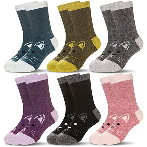 Version 1.0.0 Version 1.0.0