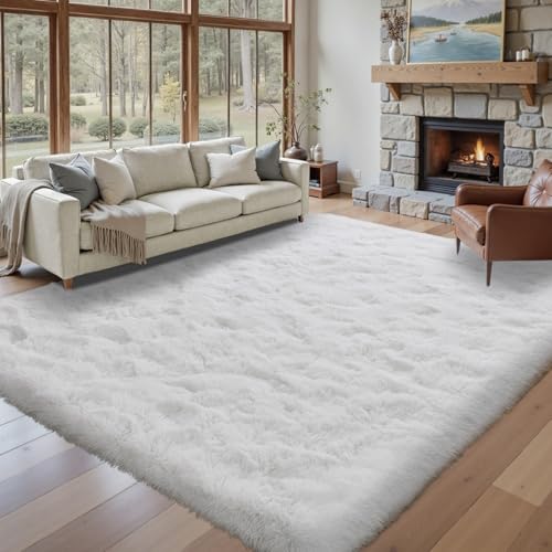 Version 1.0.0 Version 1.0.0