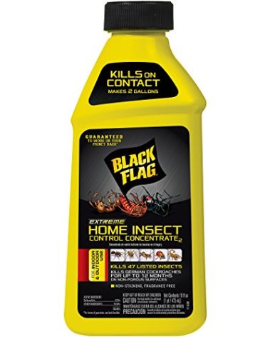 Black Flag Extreme Home Insect Control Concentrate, 16 Ounce, for Indoor and Outdoor Use, Makes 2 Gallons
