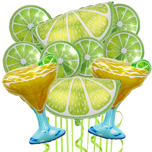 Version 1.0.0 Version 1.0.0