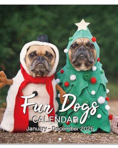 2026 Calendar - Cute Puppies Wall Calendar 2026, 12 Months Fun Dogs Calendar, Jan. 2026 - Dec. 2026, 12'' x 12'' (Closed), 12'' x 24'' (Open), Funny Dog Calendar Gag Gifts, Hanging Hole, Holidays
