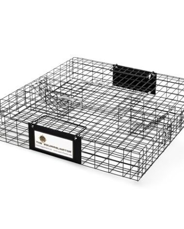 Rugged Ranch Squirrel Trap, Live Animal Catch & Release Cage, Squirrelinator, Black - Humane Indoor and Outdoor Catcher for Chipmunks and Squirrels