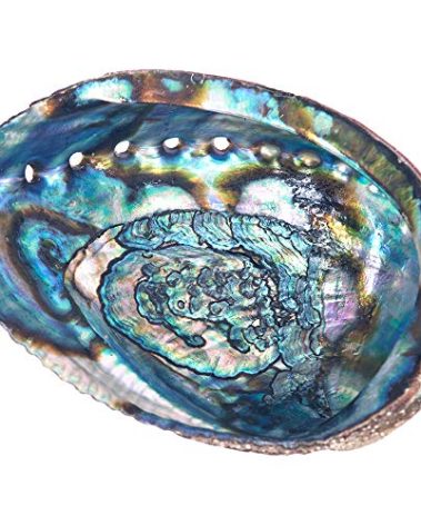 Abalone Shell Smudging Bowl Seashell Incense Burner, 5-6 Inches