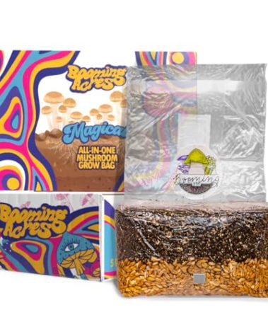 Booming Acres | The Magical 5lb All-in-One Mushroom Grow Bag | Mushroom Grow Kit | Harvest Your own Happiness | Discover The Magic of Growing Mushrooms - 5lb Grow Bag Mushroom Starter Kit