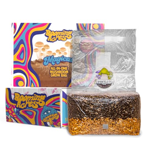 Version 1.0.0 Version 1.0.0