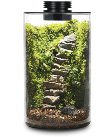 Desktop Glass Plant Terrarium with Grow Light (H:9.8" D:5.9"), for Succulent, Moss, Miniature Gardening Landscape, Betta Fish Tank, Office Home Decoration, Plant Lovers Gifts