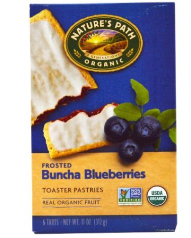 Nature's Path Organic Toaster Pastries Blueberry Frosted -- 11 oz