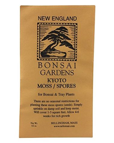 Moss Spores for Bonsai Trees - Covers Up to Three Square Feet, Bright Green Velvet Kyoto Bonsai Moss That is Weed Free, Indefinite Shelf Life