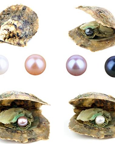 4PCS Saltwater Akoya Cultured Pearl Oyster with Round Pearl (6.5-7.5mm) Inside Jewelry Making or Birthday Gifts (4 Colors)