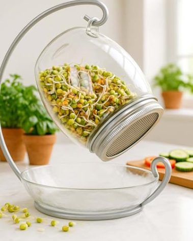 ALCEDIA Premium Sprouting Jar Kit - Unique 30 oz Wide Mouth Sprouting Jar, Stand, Tray and 316 Stainless Screen Lid | Decorative Indoor Seed Sprouter and Germinator (1 Kit)