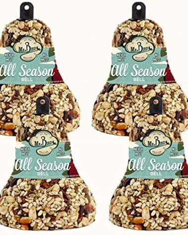 Mr. Bird All Season Fruit & Nut Wild Bird Seed Bell 14 oz.