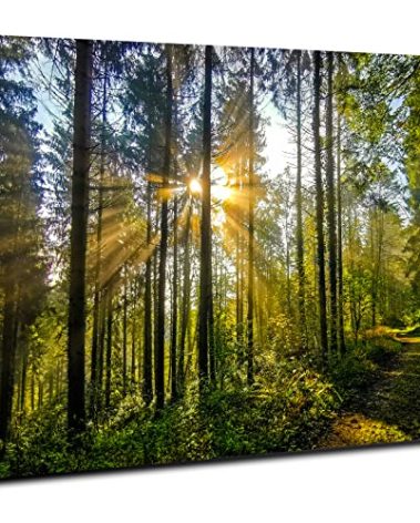 Nature Forest Canvas Wall Art for Living Room Bathroom Sunrise Mountain Landscape Picture Painting Sunset Wall Decor Tropical Green Trees Scenery Poster Prints Photo Artwork Home Decorations 12x16”