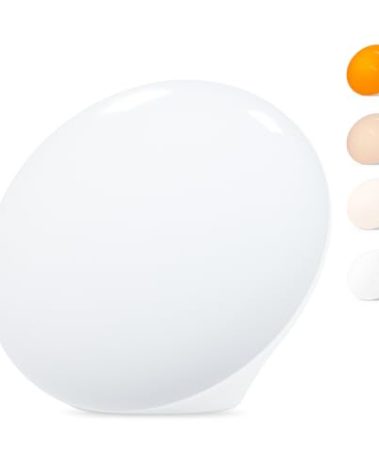 LASTAR Sun Lamp, 10,000 Lux Sunlight Lamp with 4 Color Temperatures & 5 Brightness & 1H Timer, Touch Control Daylight Lamp with Memory Function for Home