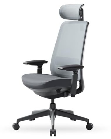 COLAMY Ergonomic Office Chair, High Back Computer Executive Desk Chair with Lumbar Support, Adjustable Headrest and 4D Arms, Slide Seat-BlackGrey