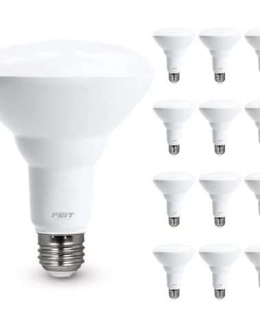 Feit Electric BR30 LED Light Bulb, 65W Equivalent, Dimmable, 650 Lumens, E26 Standard Base, 2700K Soft White, 90 CRI, Recessed Can Light Bulbs, 12-Year Lifetime, BR30DM927CA10K/MP/12, 12 Pack