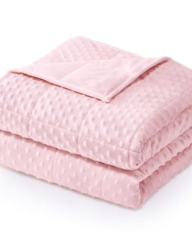 Wemore Minky Dot Weighted Blanket for Adults Queen Size 12 lbs, Soft Cozy Heavy Blanket for Bed and Couch, Breathable Blanket for All-Season with Glass Beads, Pink 60 x 80 inches