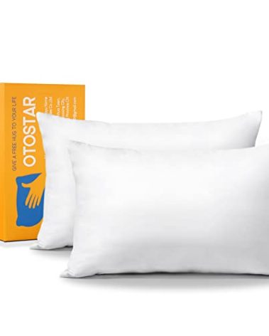 OTOSTAR Pack of 2 Throw Pillow Inserts, 16 x 24 Square Cushion Inner Soft Fluffy Plump Stuffer Cushion Pad White Decorative Pillow Insert