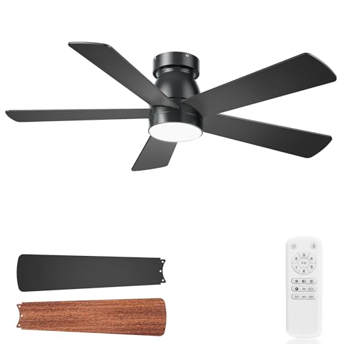 Version 1.0.0 Version 1.0.0