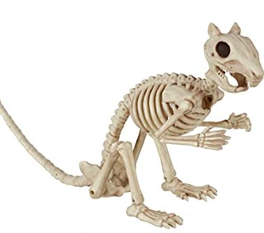 Crazy Bonez Skeleton Squirrel – 7" Halloween Skeleton Animal Decoration with Bendable Tail, Durable All-Weather Plastic, Realistic Bone Detail for Indoor Outdoor Spooky Décor and Garden Displays