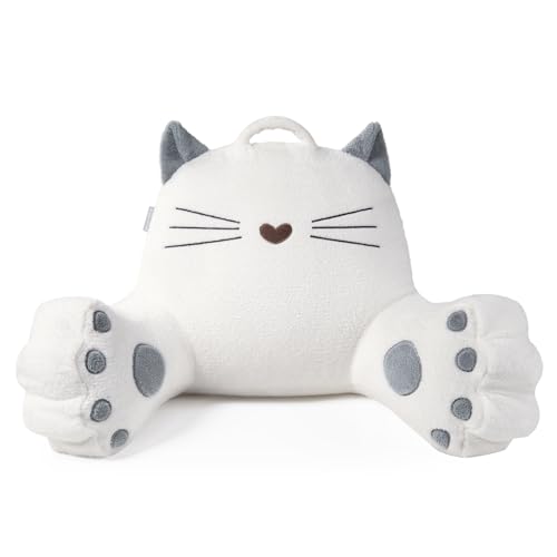 Version 1.0.0 Version 1.0.0