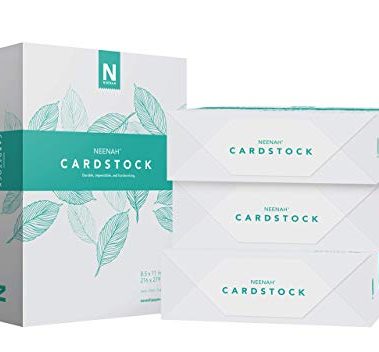 Neenah Vellum Bristol Cardstock, Lightweight, 4 Packs of 325 Sheets/1300 Sheets, 67 lb/147 gsm, 94 Brightness, 8.5" x 11" - MORE SHEETS! (91633-02)