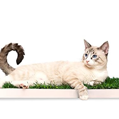 DoggieLawn Real Grass Puppy Pee Pads- 24 x 9 Inches - Perfect Indoor Litter Box for Dogs - No Mess, Easy-to-Use - Potty Training for Pets - Eco-Friendly Disposable Bathroom with Real Living Grass