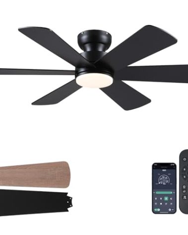BayDay 46 inch Ceiling Fans with Lights, Black Ceiling Fan with Remote APP, Dual-Sided Modern/Rustic 6 Blades, Reversible, 3CCT, Flush Mount Low Profile Ceiling Fan with Lights Bedroom Kitchen Indoor