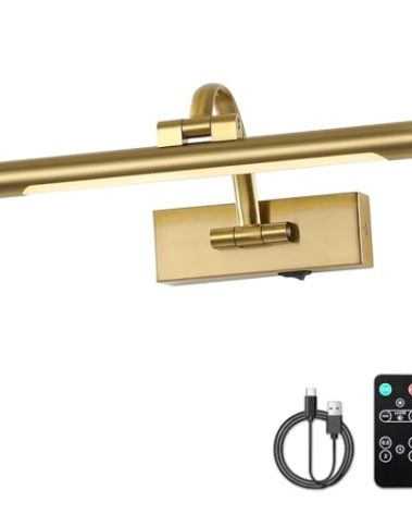 DESOOP Wireless Picture Lights for Wall Rechargeable Brass Gallery Lights Battery Operated Art Lamps with Remote and Timer Dimmable Painting Lights for Artwork Portrait Display 12 Inch 2W 2700K