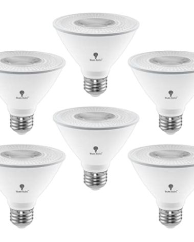 6 Pack PAR30 Short Neck LED Flood Light Bulb 10W 75 Watt Equivalent 850 Lumens Waterproof E26 5000K Daylight Super Bright PAR30 LED Bulb for Security, Led Spotlight Bulb Led Recessed Light Bulbs