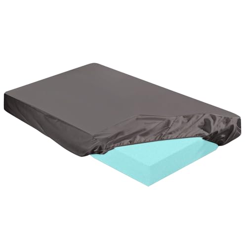 Version 1.0.0 Version 1.0.0